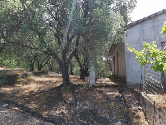Land In Corfu, Greece