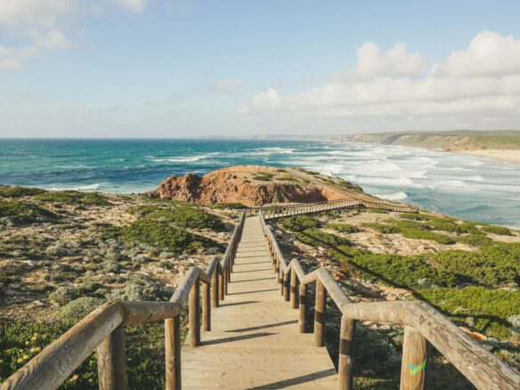 photography of seashore during daytime