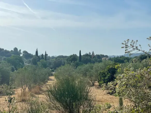 Land In Corfu, Greece