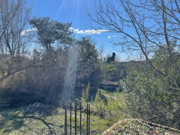 Land In Corfu, Greece (100 M²)