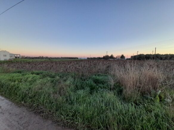 Land In Epanomi, Greece