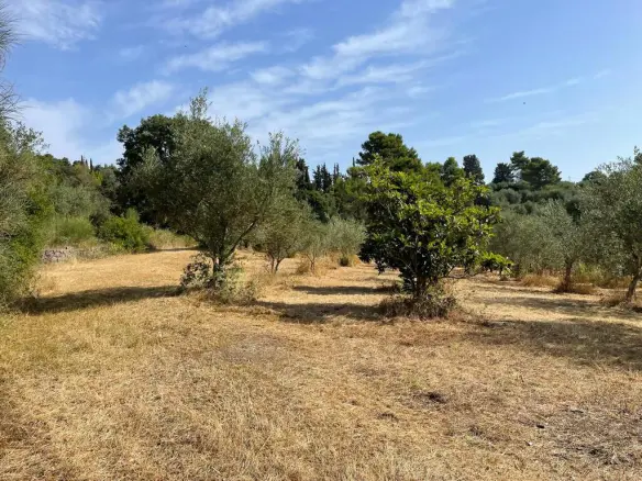 Land In Corfu, Greece