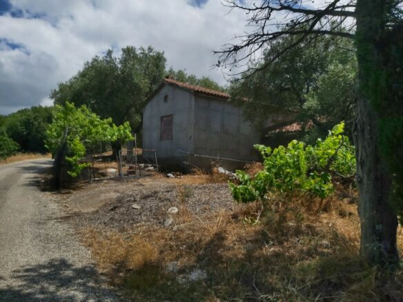 Land In Corfu, Greece