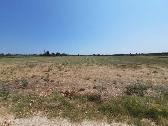 Land In Thermaikos, Greece