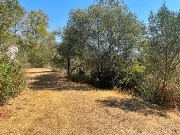 Land In Corfu, Greece