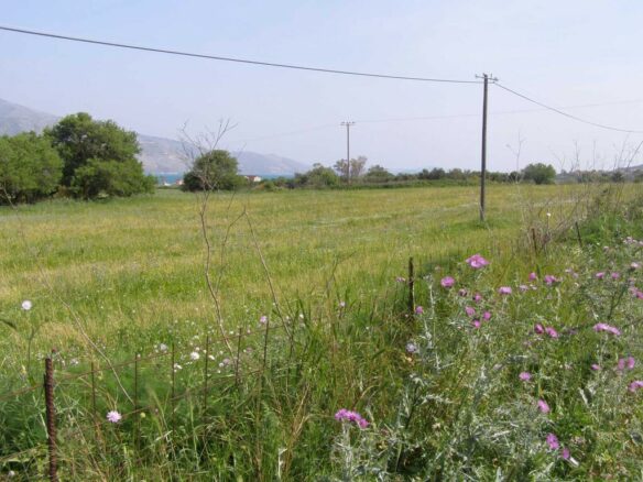 Land In Sipiada, Greece
