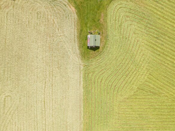 aerial photography of house surrounded with field