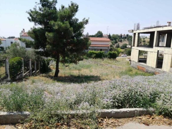 Land In Panorama, Greece