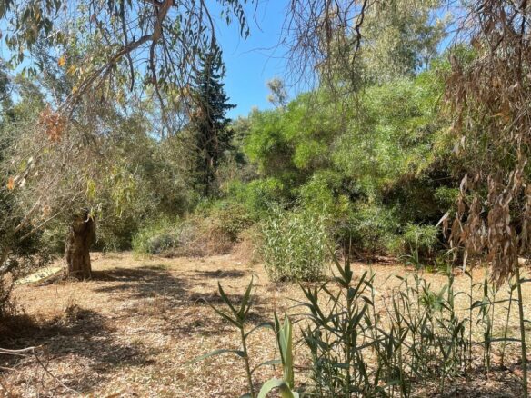 Land In Corfu, Greece