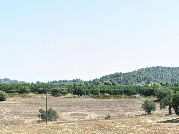 Land In Kassandra, Greece