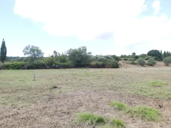 Land In Corfu, Greece