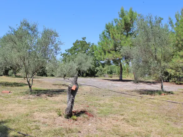Land In Litochoro, Greece