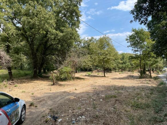 Land In Corfu, Greece
