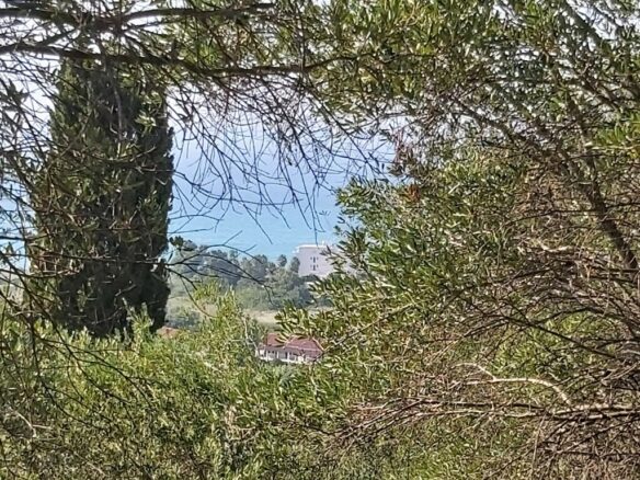 Land In Corfu, Greece