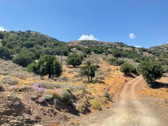 Land In Viannos, Greece
