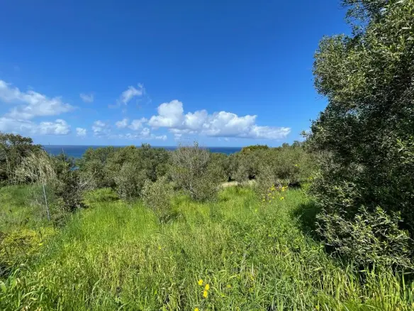 Land In Corfu, Greece