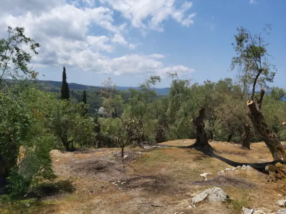 Land In Corfu, Greece
