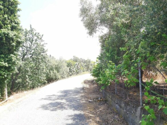 Land In Corfu, Greece