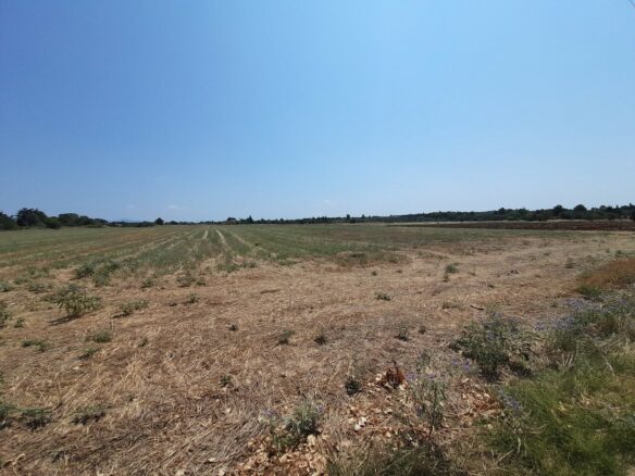 Land In Thermaikos, Greece