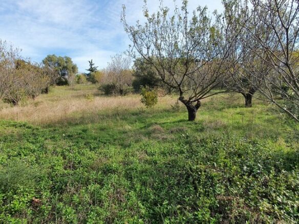 Land In Nea Propontida, Greece