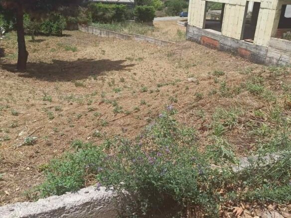 Land In Panorama, Greece