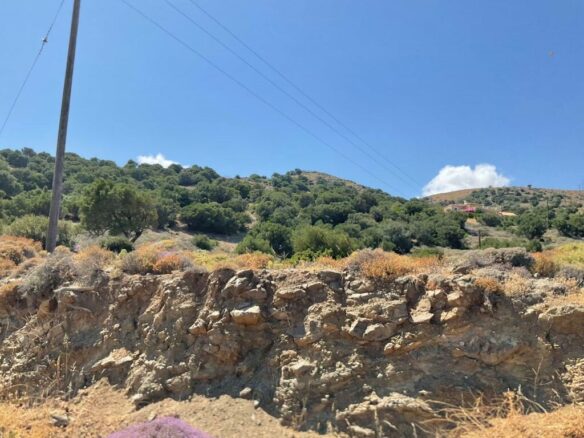 Land In Viannos, Greece