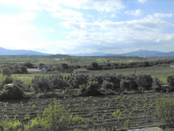 Detached House In Greece (375 M²)