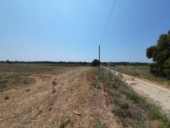 Land In Thermaikos, Greece