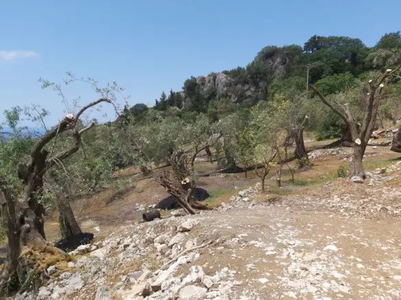 Land In Corfu, Greece