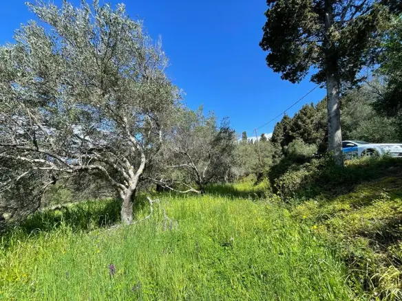 Land In Corfu, Greece