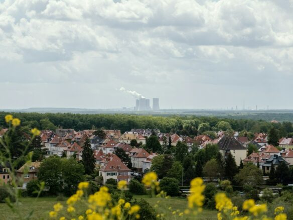 yellow flower field near city buildings under white clouds during daytime