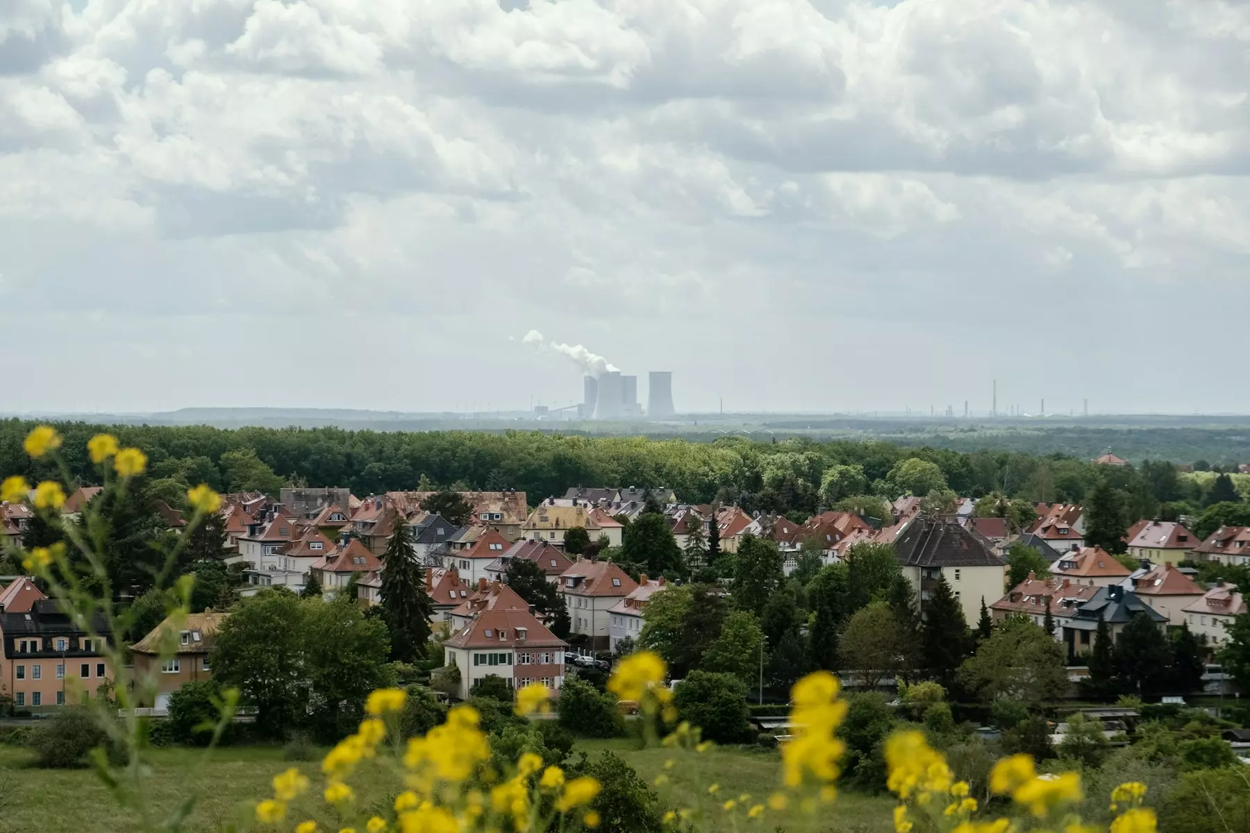 yellow flower field near city buildings under white clouds during daytime