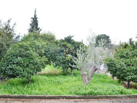Charming 185 M² Detached Home On Beautiful Euboea Island
