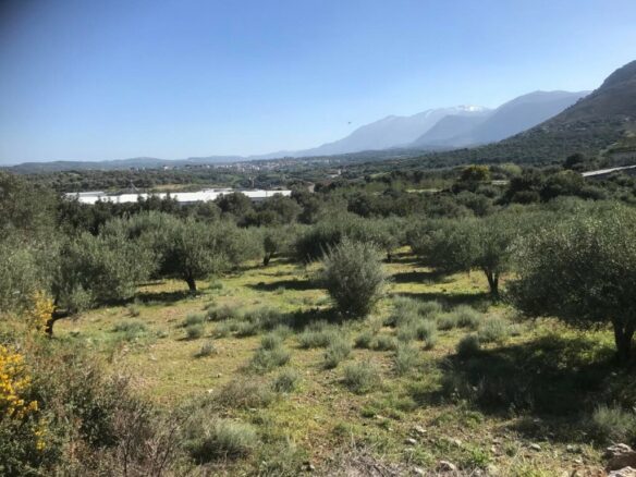 Land In Tilisos, Greece