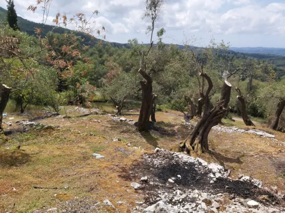 Land In Corfu, Greece