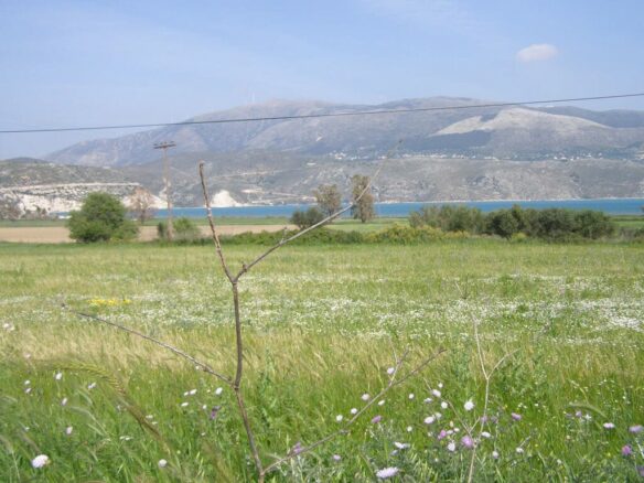 Land In Sipiada, Greece