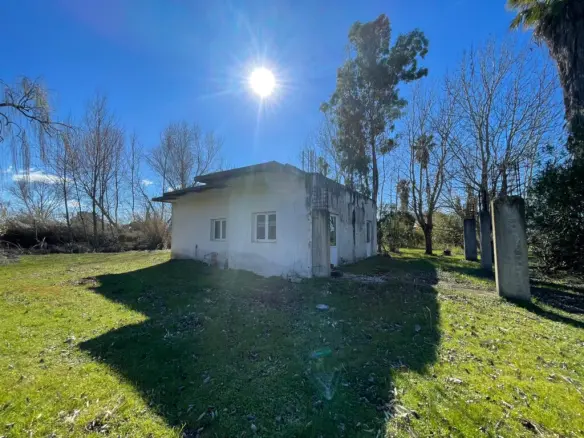 Land In Corfu, Greece (100 M²)
