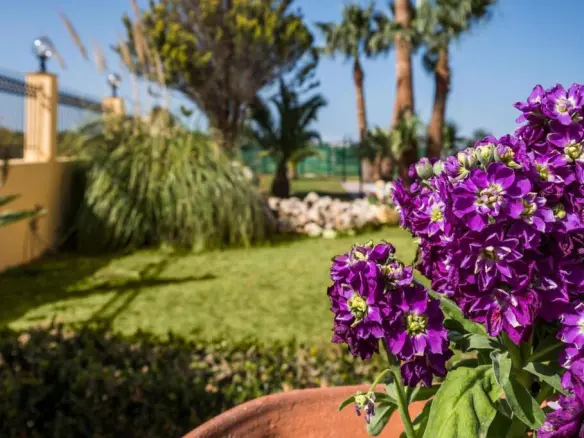 5-bedroom Business In Akrotiri, Greece (310 M²)
