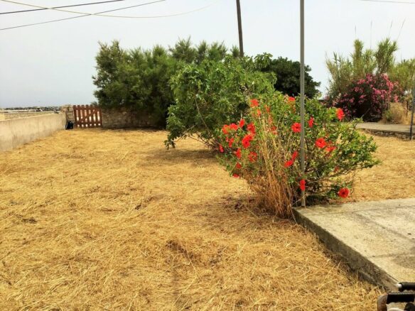 Land In Corfu, Greece