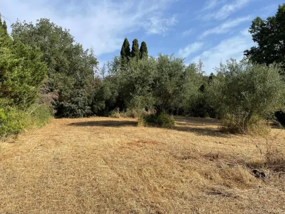 Land In Corfu, Greece