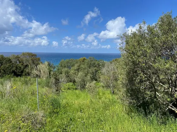 Land In Corfu, Greece