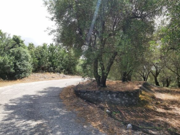 Land In Corfu, Greece