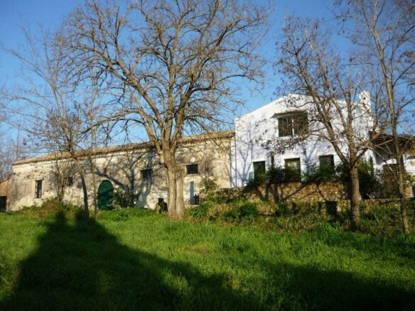 Detached House In Corfu, Greece (962 M²)