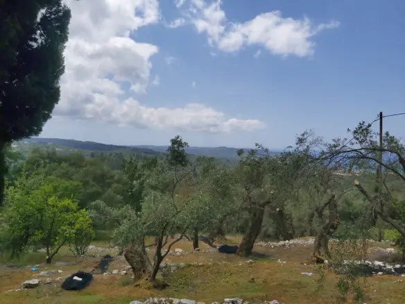 Land In Corfu, Greece