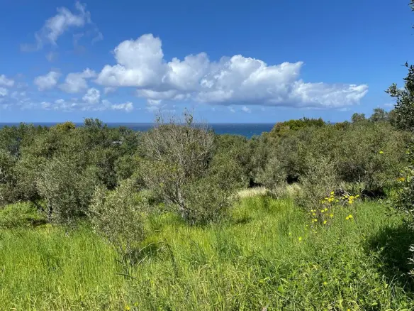Land In Corfu, Greece