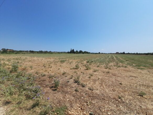 Land In Thermaikos, Greece