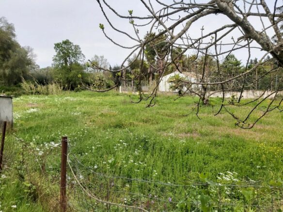 Land In Corfu, Greece