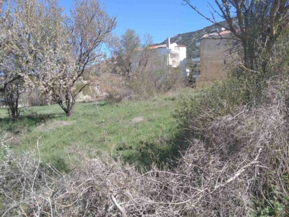 Land In Chortiatis, Greece