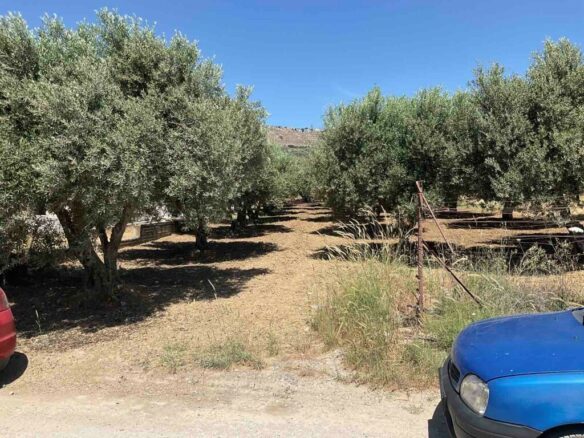 Land In Tetrachori, Greece