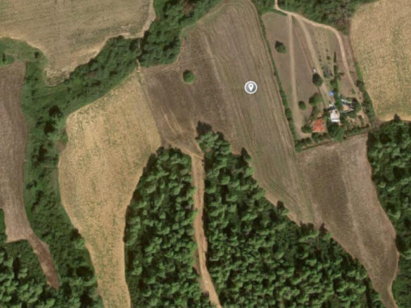 Land In Kassandra, Greece